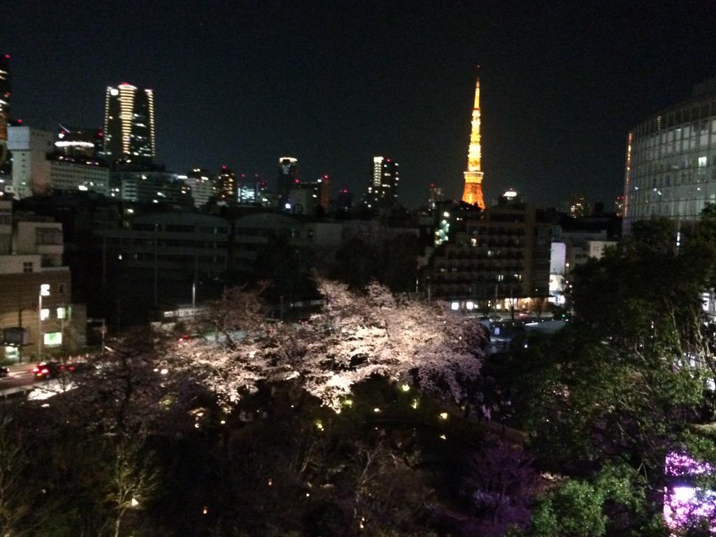 六本木ヒルズから見た東京タワーと桜