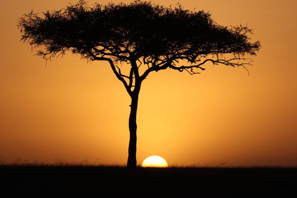ケニアの夕陽
