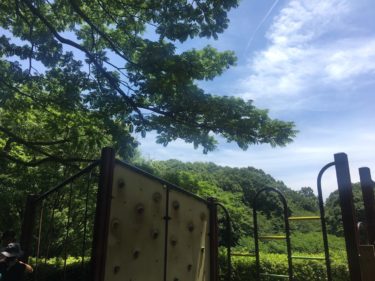 横浜の市街地に広がる里山風景の「四季の森公園」。夏は蛍狩りや水遊びも