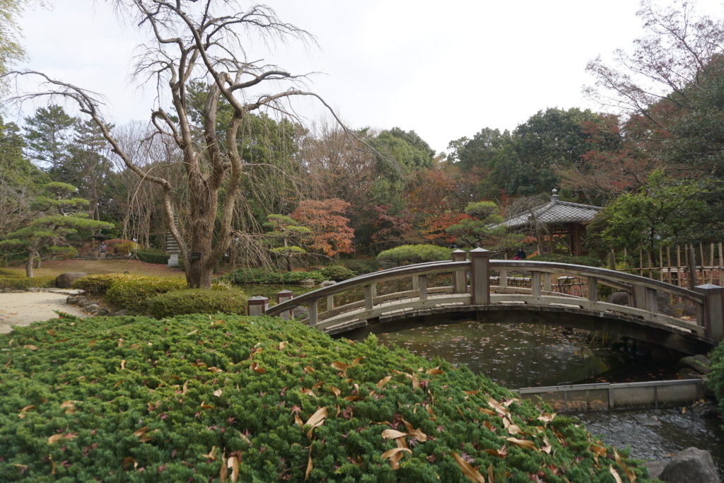 平塚市総合公園日本庭園私たちはどうかしている