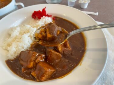 人と街を繋ぐ「横浜テクノタワーホテル」で平日ランチ限定カレーブッフェが1,650円！【横浜市】