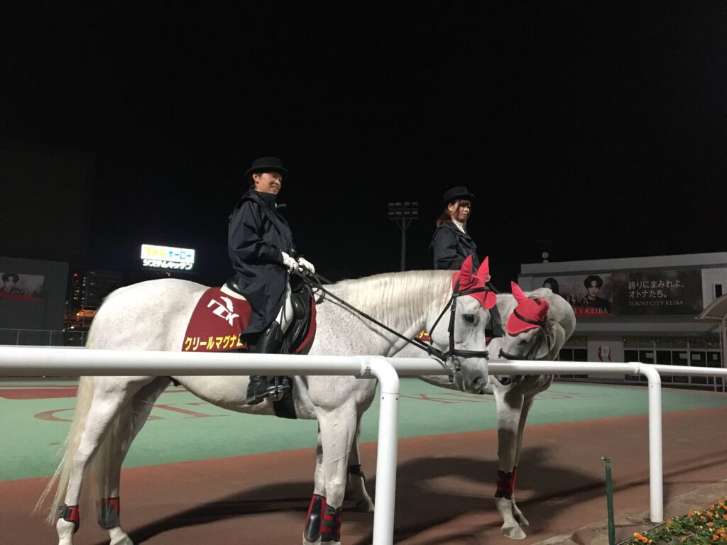 東京メガイルミ 誘導馬